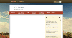Desktop Screenshot of leroysprings.com